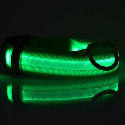 NightBright USB Rechargeable LED Collar