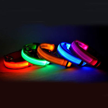 NightBright USB Rechargeable LED Collar