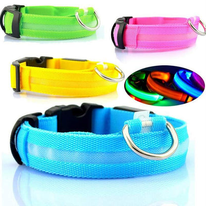 NightBright USB Rechargeable LED Collar