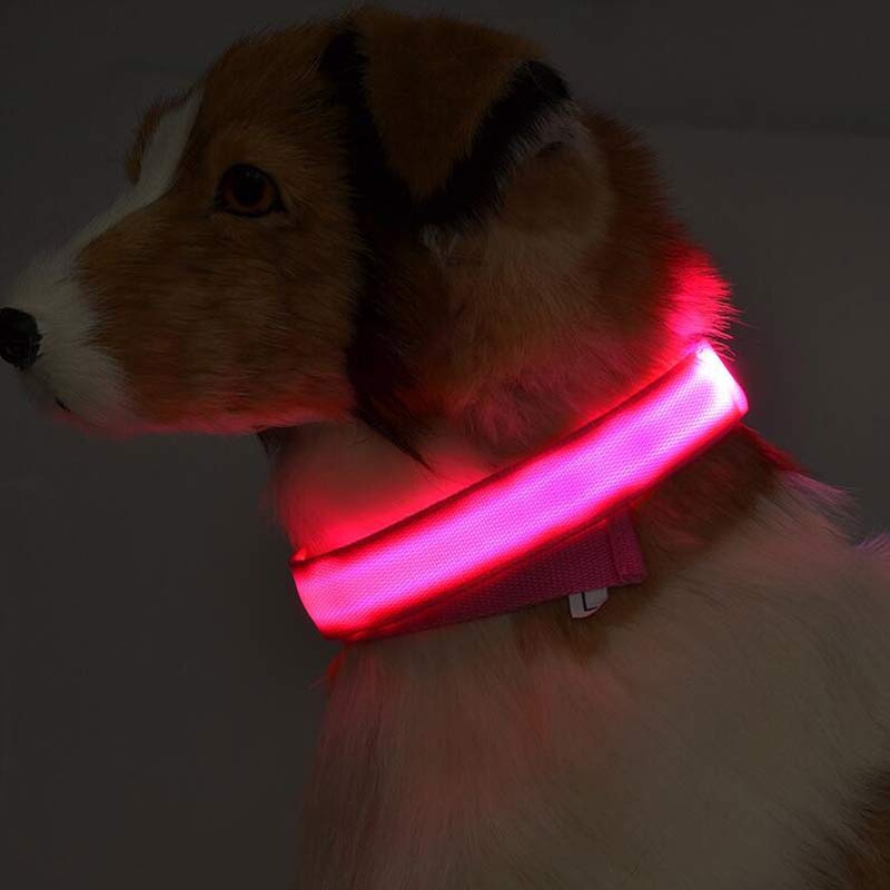 NightBright USB Rechargeable LED Collar