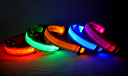 NightBright USB Rechargeable LED Collar