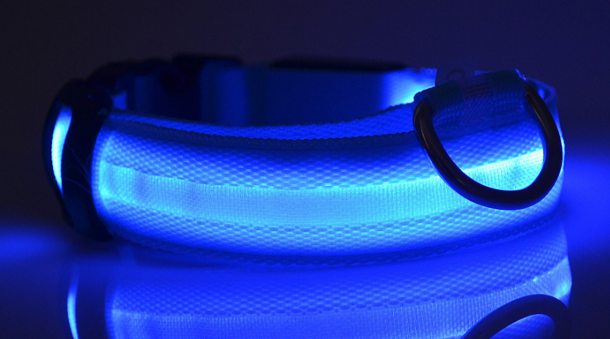 NightBright USB Rechargeable LED Collar