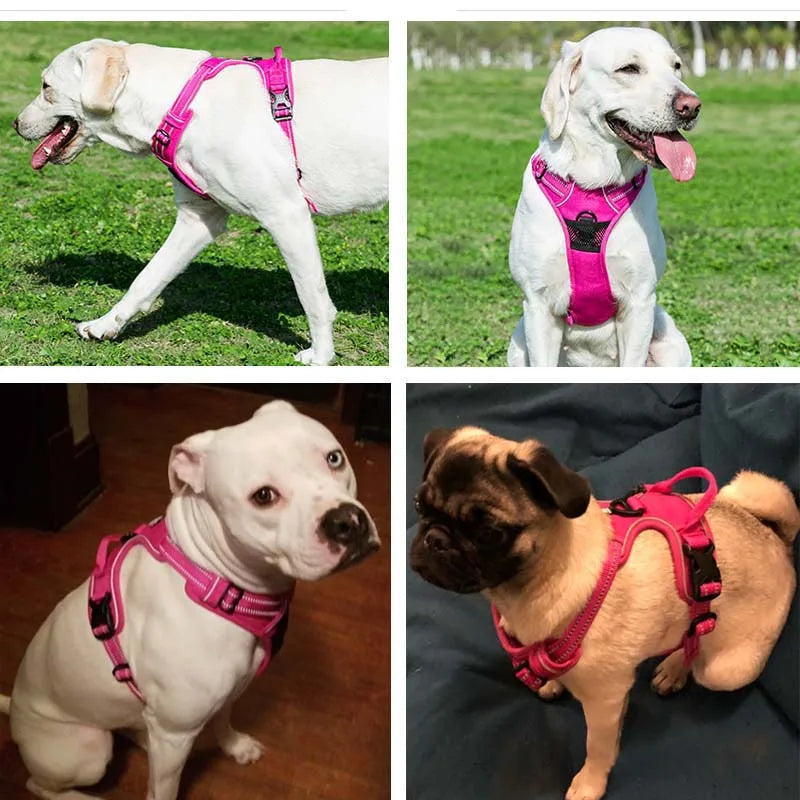 GlowPaws Reflective Breathable Harness